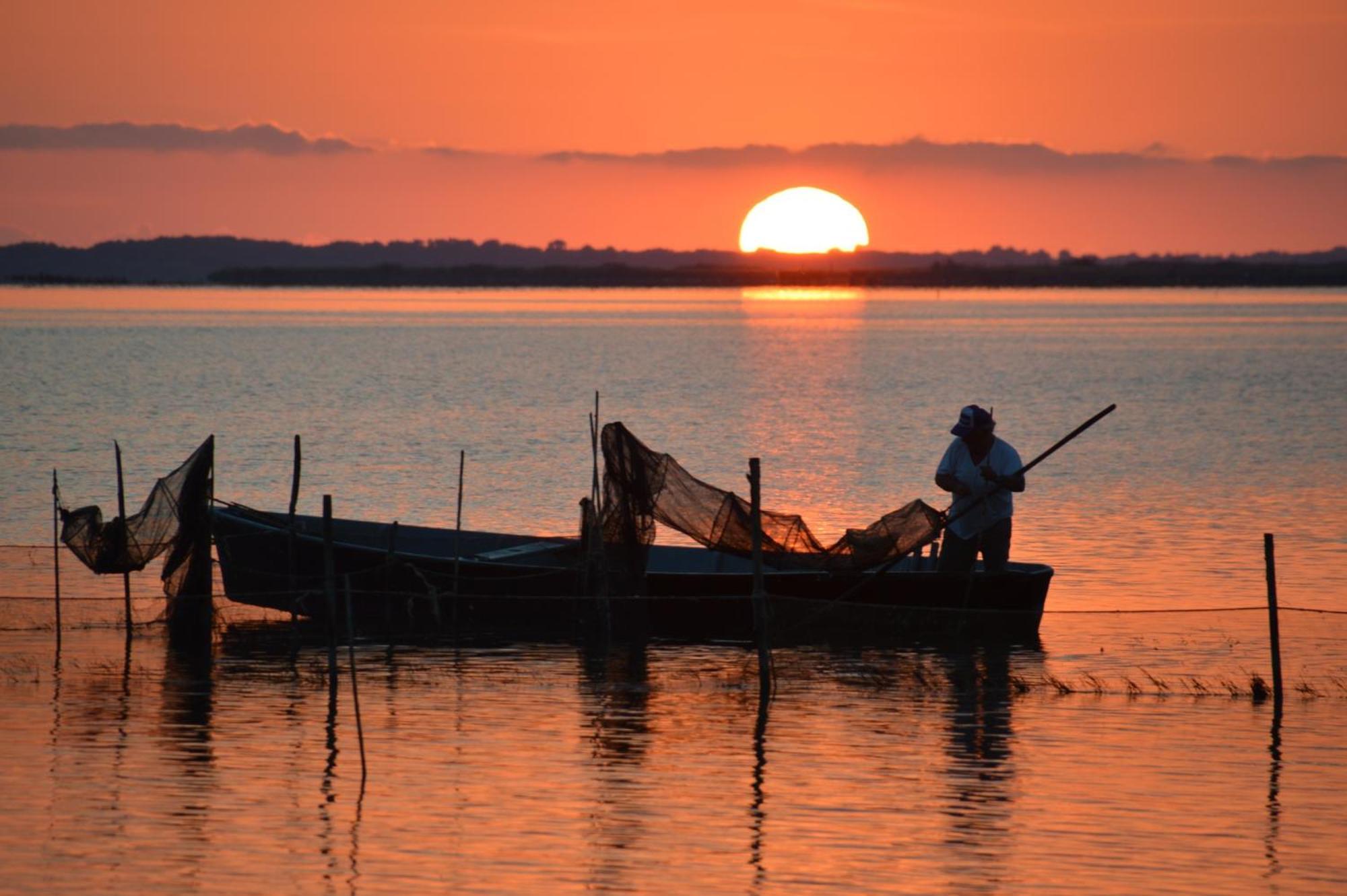 Le Stanze Di Ricci - Affittacamere Low Cost Lesina Exterior foto